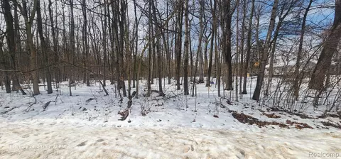 001 Driftwood Dr, Deerfield, MI 48430