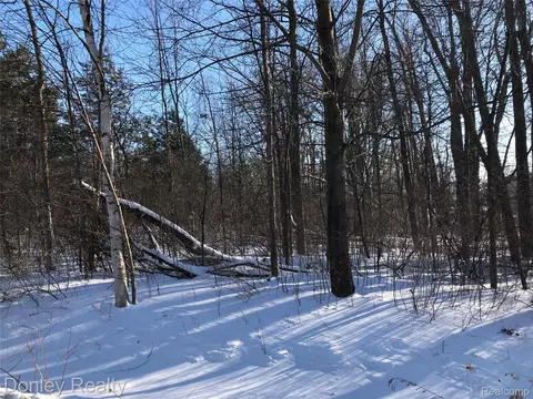 20 Vacant Lots Concord Cranbrook Tulane, Marlette, MI 48453 photo 3