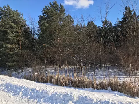20 Vacant Lots Concord Cranbrook Tulane, Marlette, MI 48453 photo 4