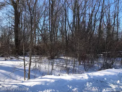 20 Vacant Lots Concord Cranbrook Tulane, Marlette, MI 48453