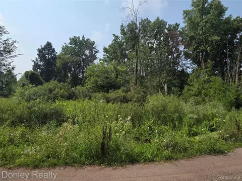 20 Vacant Lots Concord Cranbrook Tulane, Marlette, MI 48453 photo 5