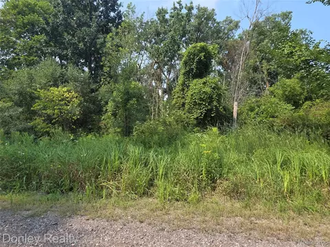 20 Vacant Lots Concord Cranbrook Tulane, Marlette, MI 48453 photo 4