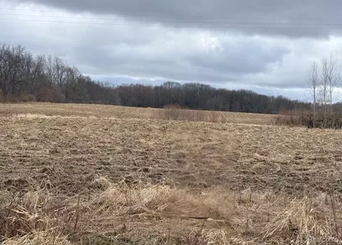 00 E Allen Rd, Oceola, MI 48855