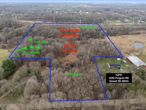 Vl Pingree Road, Marion, MI 48843