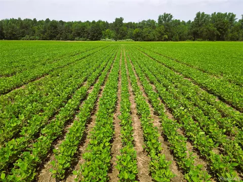 9654 Birch Run Rd, Arbela, MI 48746
