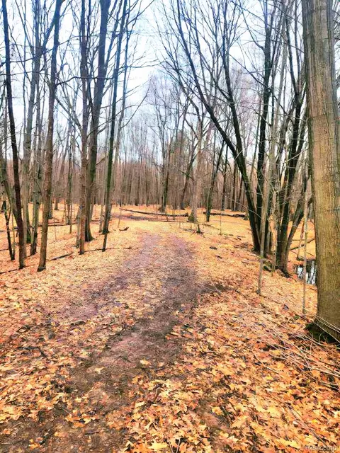 Parcel B1 Foley Road, Tyrone, MI 48430