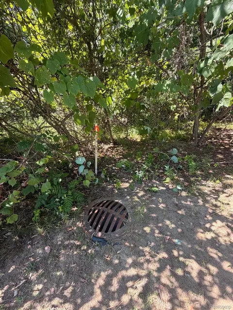 0 Brest, Taylor, MI 48180 photo 6