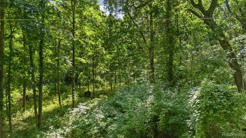 00001 Ledgewood Dr, Tyrone, MI 48430