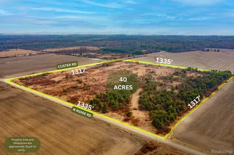 Vacant Land Custer Road, Sandusky, MI 48419