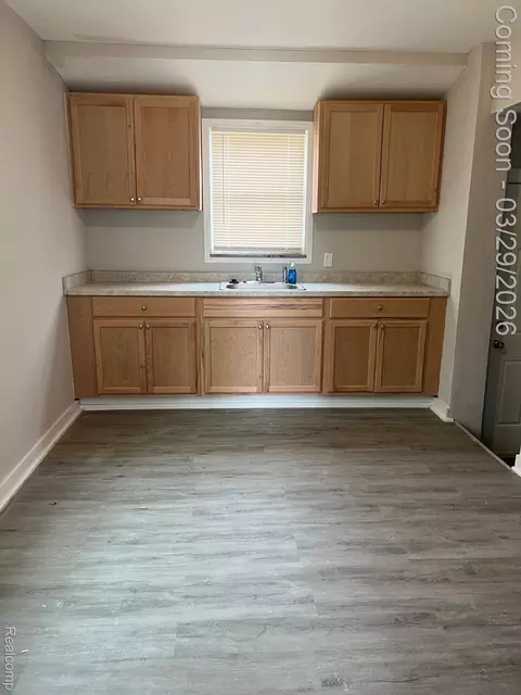 9078 Artesian St, Detroit, MI 48228 photo 4