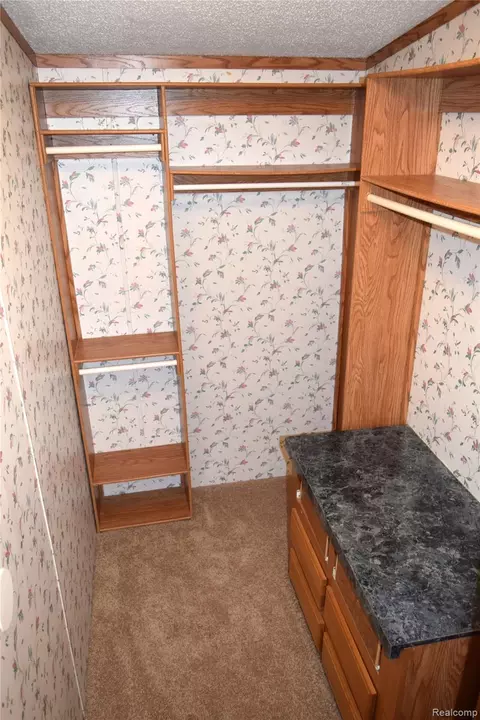 Other - 443 Pond View Dr, Morrice, MI 48857 photo 11 of 11