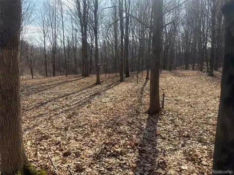 V/l Fulton, Fremont, MI 48744