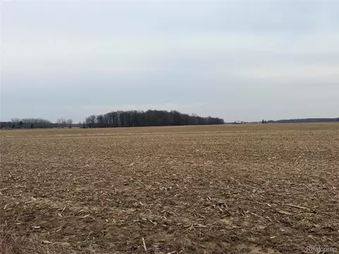 V/l Ringle, Juniata, MI 48723
