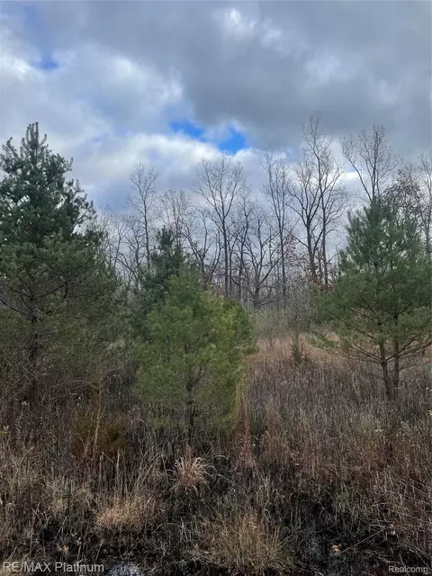 0 Seymour Rd, Argentine, MI 48451
