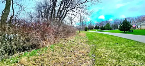 9910 Iosco Ridge Dr, Iosco, MI 48137 photo 5