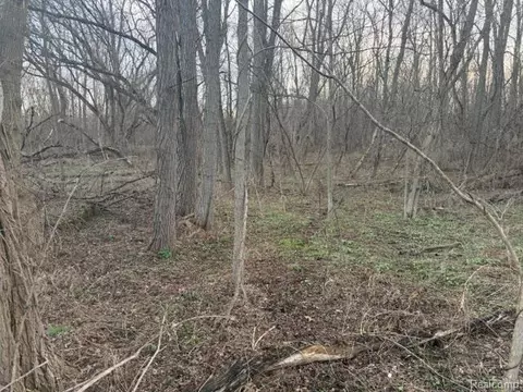 3940 Demode Rd, Rose, MI 48442 photo 3