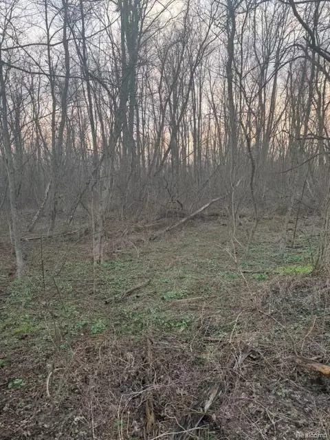 3940 Demode Rd, Rose, MI 48442 photo 4