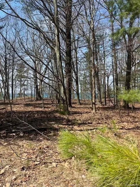 5271 Lake Breeze Dr, Pentwater, MI 49449
