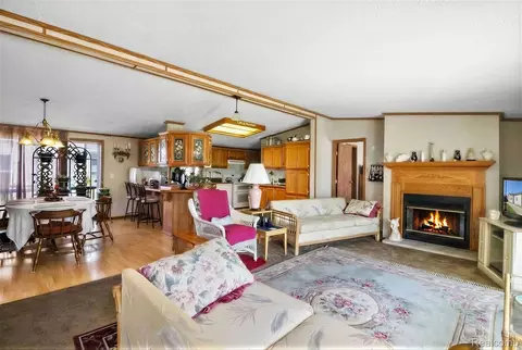 Living - 13617 Orchard View St, Ash, MI 48117 photo 1 of 1