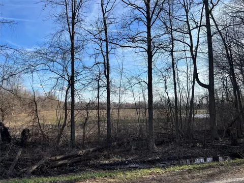 10 Acres Vacant Land Vernor Rd, Mayfield, MI 48446