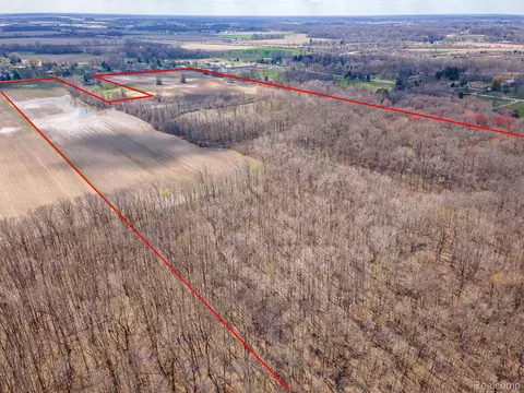 4 Carleton Rockwood Road, Ash, MI 48117 photo 11