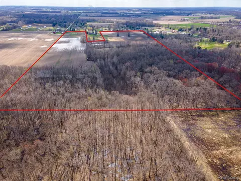 4 Carleton Rockwood Road, Ash, MI 48117 photo 12