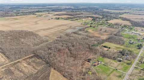 4 Carleton Rockwood Road, Ash, MI 48117 photo 22