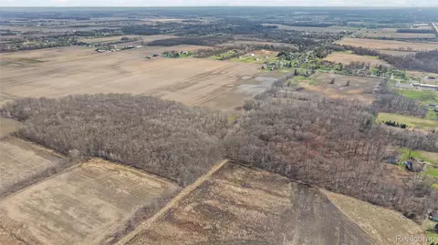 4 Carleton Rockwood Road, Ash, MI 48117 photo 21