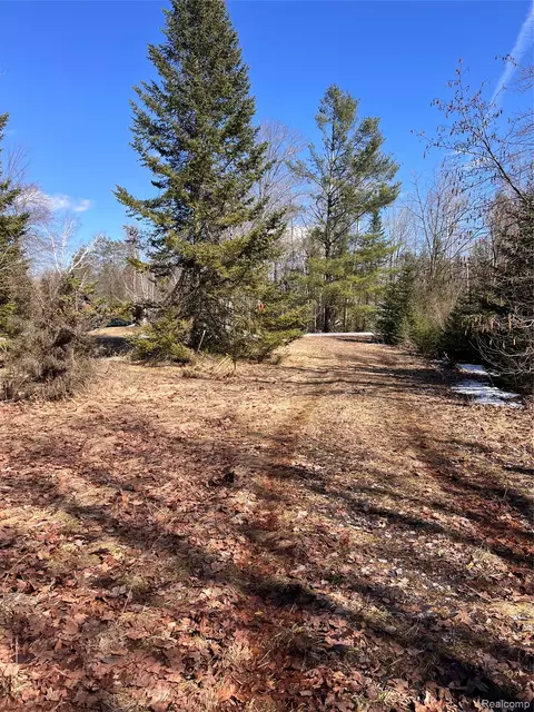 3120 Lakeshore Dr, Curtis, MI 48737