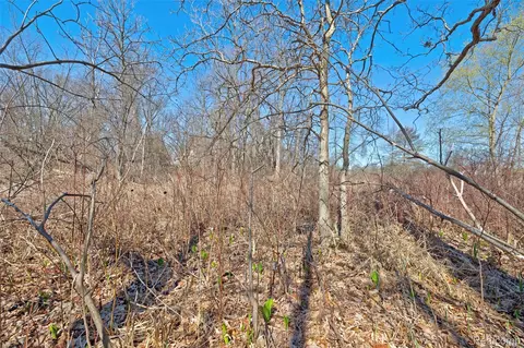 0000 Tambora St, Commerce, MI 48382 photo 32