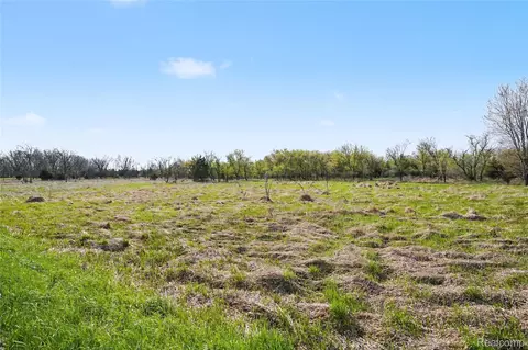 8857 Bath Rd, Burns, MI 48418 photo 11