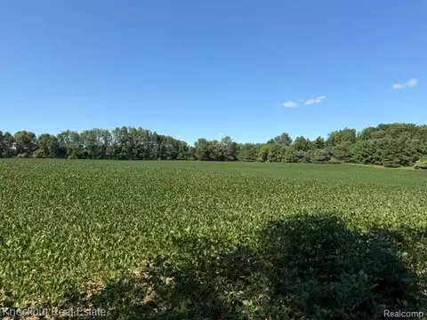 Parcel C Murphy Lake Road, Watertown, MI 48744