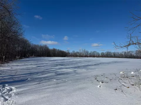Parcel C Murphy Lake Road, Watertown, MI 48744