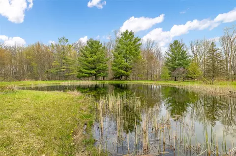 Other - 4425 Bethuy Rd, Casco, MI 48064 photo 19 of 21