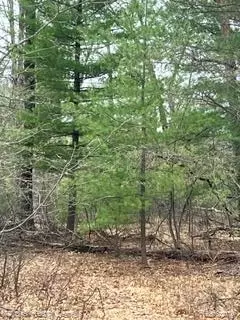 000 Otter Trl, Moffatt, MI 48610