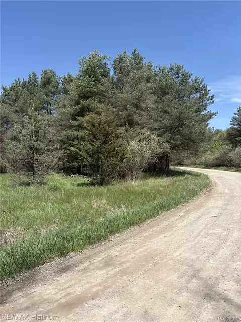 Parcel 2 Pineway Trail, Howell, MI 48855 photo 5