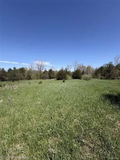 Parcel 2 Pineway Trail, Howell, MI 48855 photo 2