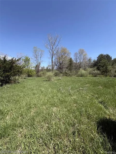 Parcel 2 Pineway Trail, Howell, MI 48855 photo 8