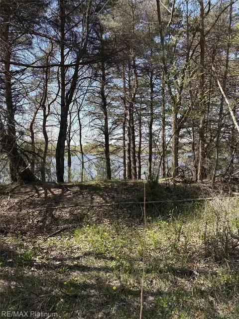 Parcel 3 Pineway Trail, Howell, MI 48855 photo 9