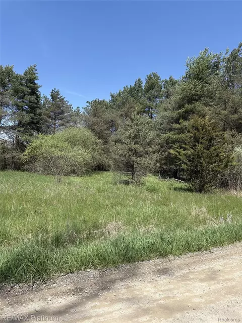 Parcel 3 Pineway Trail, Howell, MI 48855 photo 4