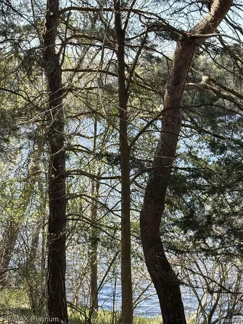 Parcel 3 Pineway Trail, Howell, MI 48855 photo 8