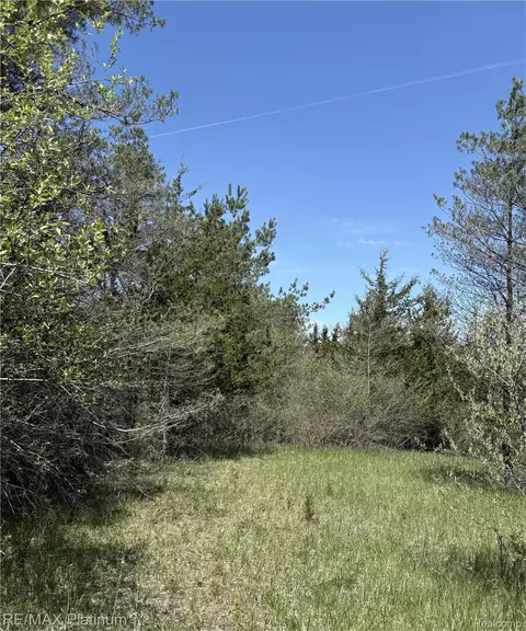 Parcel 3 Pineway Trail, Howell, MI 48855 photo 2