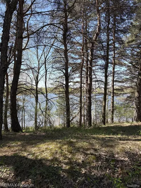 Parcel 3 Pineway Trail, Howell, MI 48855 photo 10