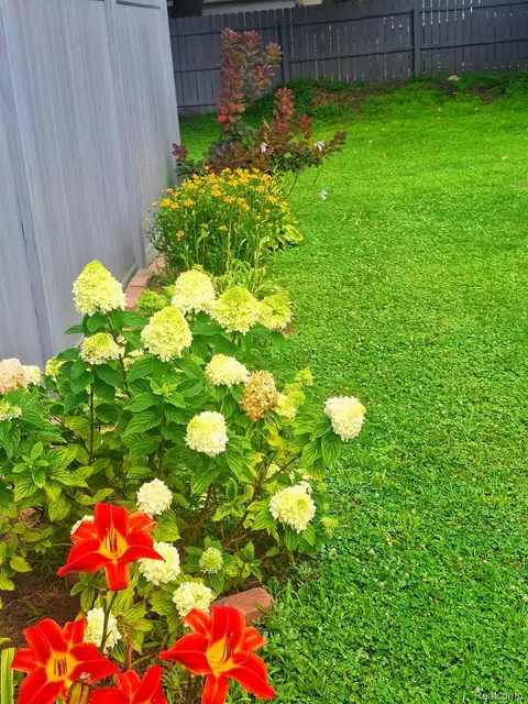 Exterior - 12660 Grafton Rd, Ash, MI 48117 photo 31 of 32