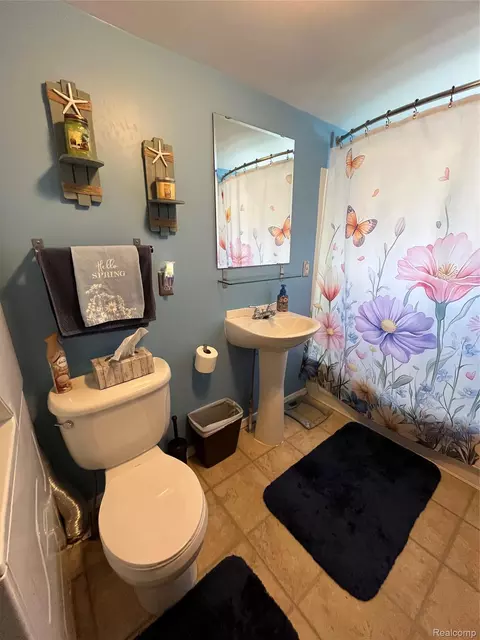 Bath - 12660 Grafton Rd, Ash, MI 48117 photo 4 of 5