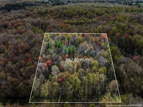 6799 Maplegrove Rd, Vassar, MI 48768