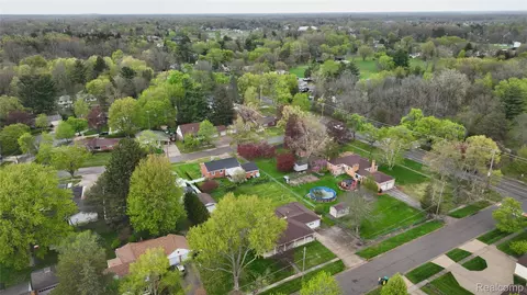 View/Area - 225 E Park Ave, Flushing, MI 48433 photo 3 of 7