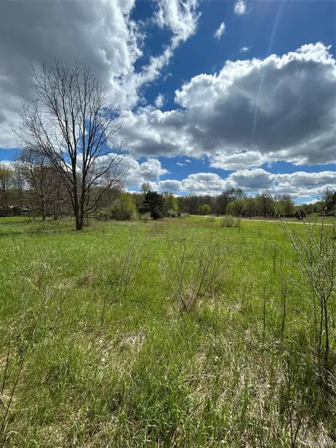 2 East Coon Lake Road, Genoa, MI 48843