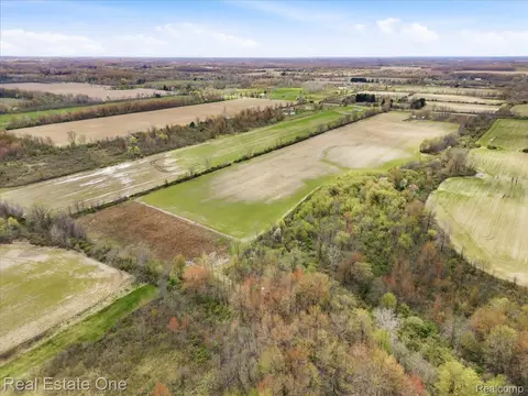 2320 Braidwood Rd, Riley, MI 48041 photo 6