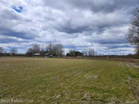 2320 Braidwood Rd, Riley, MI 48041 photo 20